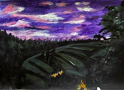 Rice field Canggue July 2024 60x40cm acrylic on canvas