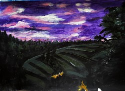 Ricefield 2 July 2024 Acrylic on Canvas 40x60cm
